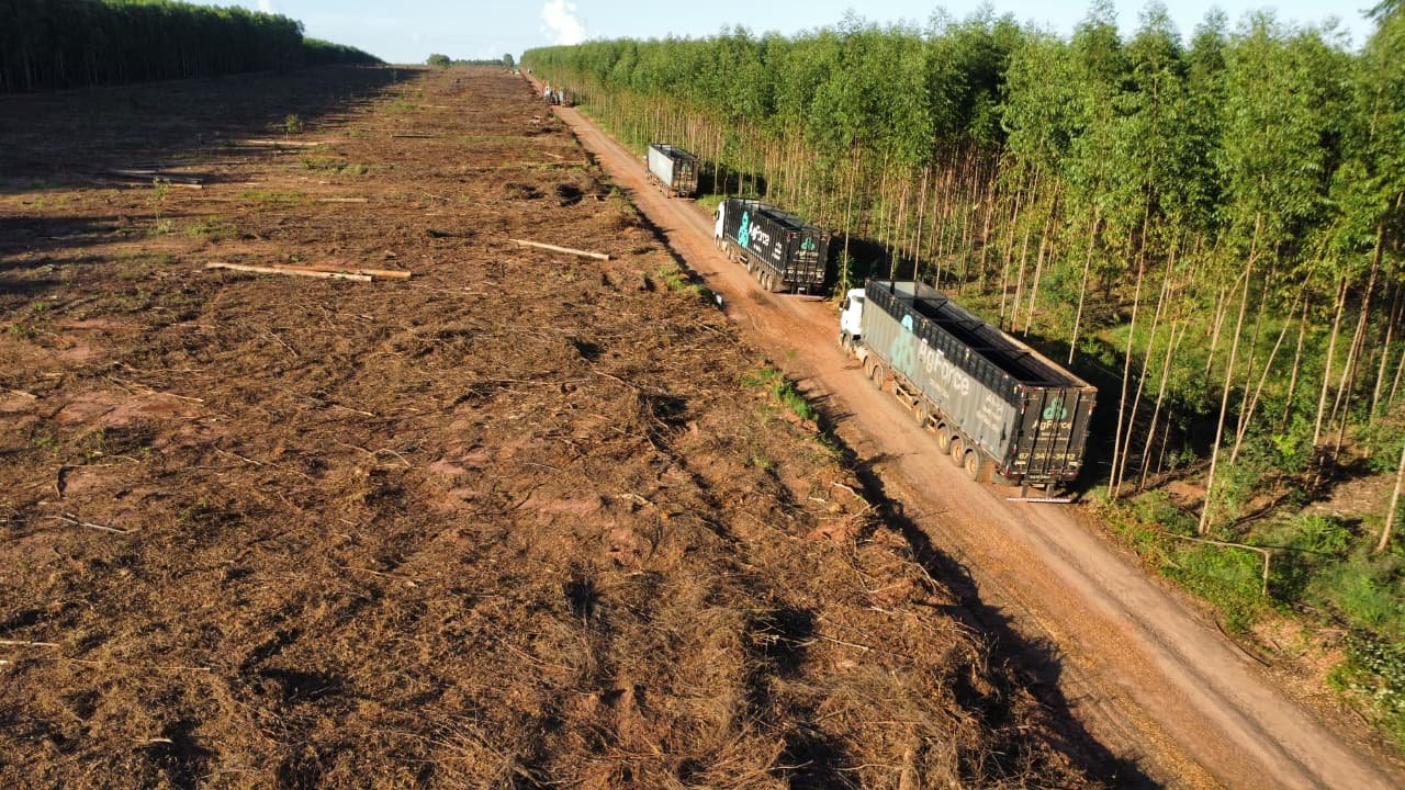 Caminhão da frota própria AgForce para transporte de biomassa