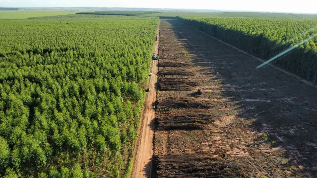 Equipamentos e equipe em operação florestal de colheita